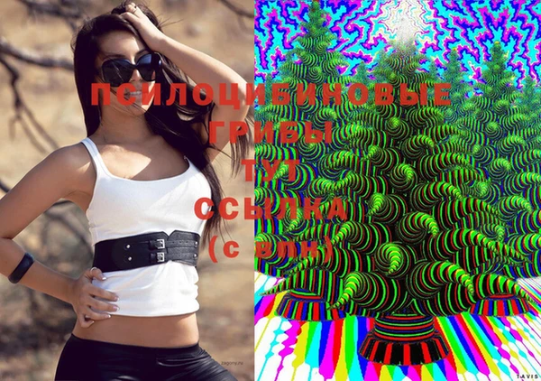 дмт Алексеевка
