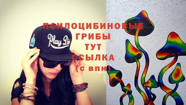 дмт Алексеевка