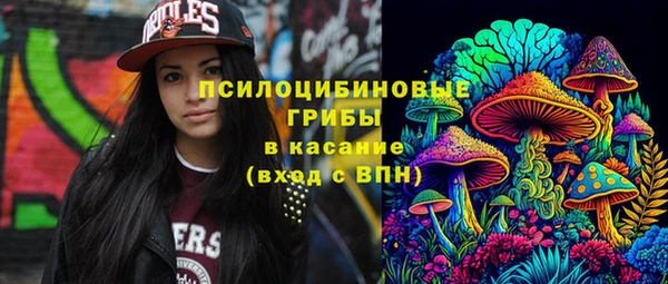 первитин Алексин